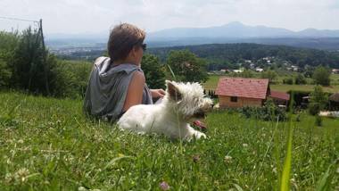 Panorama Glamping Visole