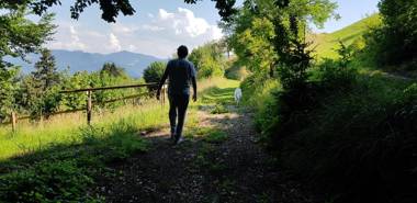 Apartma pri Boštjanu