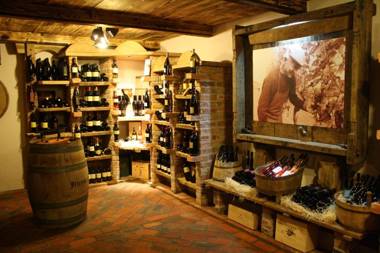 Guesthouse Jelenov greben