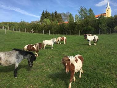 Apartments Laura FARM STAY