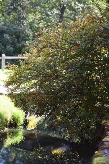 Turistična kmetija Šeruga