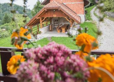 Farm Stay Žagar