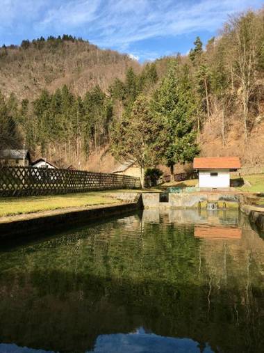 Guest House Atelšek