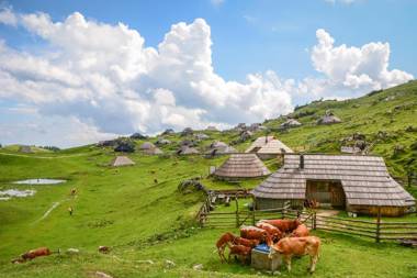 Forest Camping Mozirje