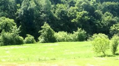 Lahinja & Kolpa river apartments