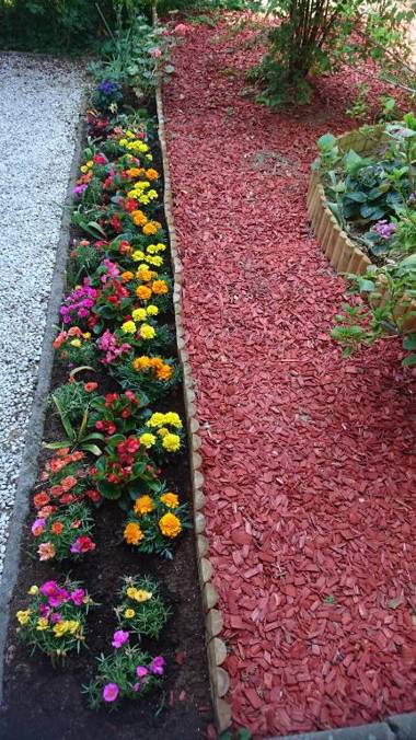 Bed & Breakfast Zeleni Kakadu