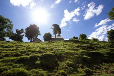 Farmstay&Glamping Visočnik