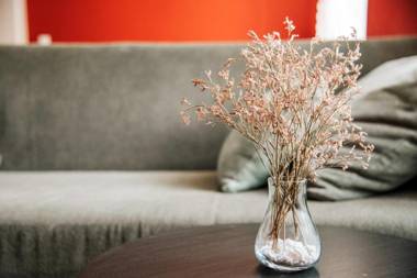 Central Comfort Apartments Meščanka