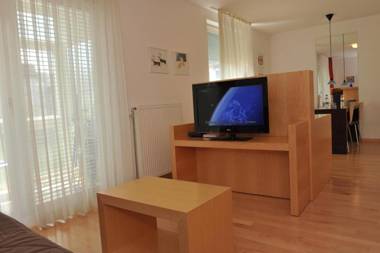 Studio Apartment Bor