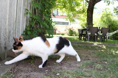 4beds GreenSLO free Parking