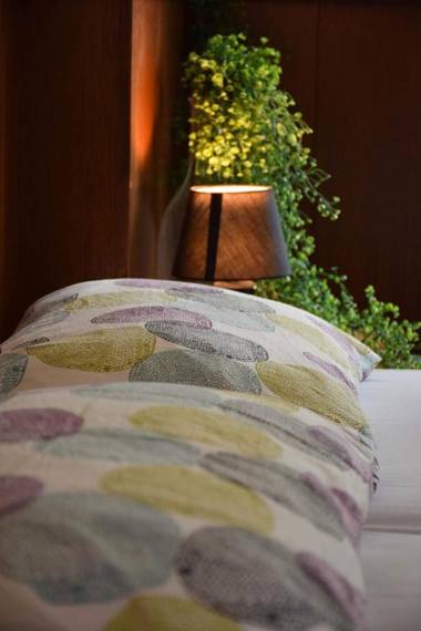 Guest House Park Žibert