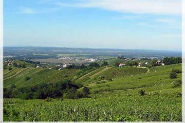 Cuk's Vineyard Chalet & Cottage With Wellness and Hot Tub