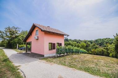 Holiday Home Vesna with Hot Tub