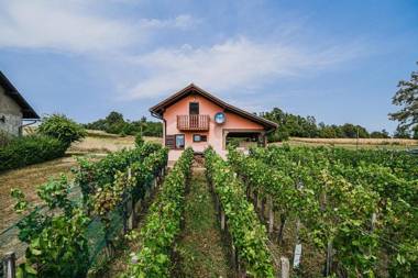 Holiday Home Vesna with Hot Tub