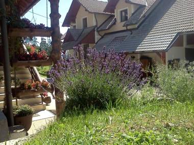 Tourist Farm Pr'Dovar