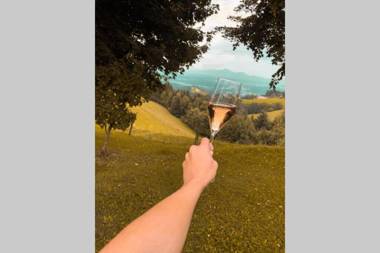 Apartmaji na kozolcu - Smogavc