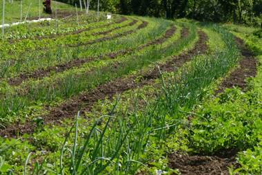 Tourist farm Pri Andrejevih