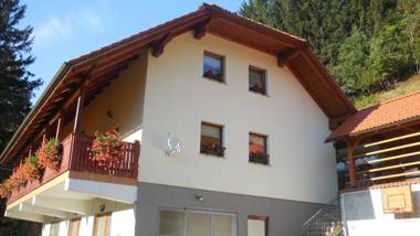 Apartments Savinja