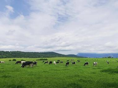 Apartments Posestvo Grad Prestranek