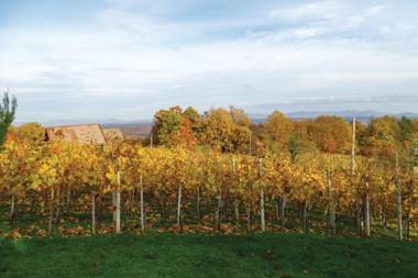 Child friendly Vineyard House Bahor