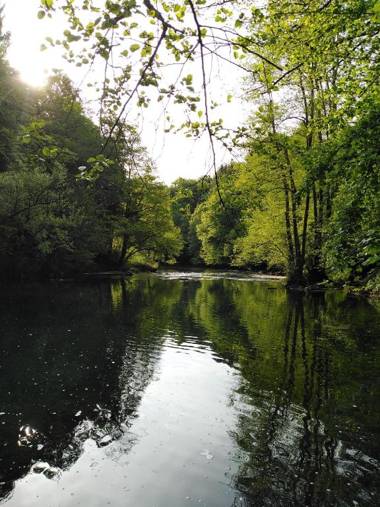House of Culture and Nature - Hiša Kulture in Nature