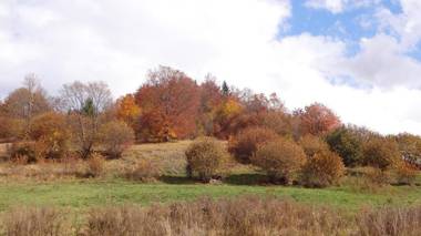 Apartmány HolidayTale