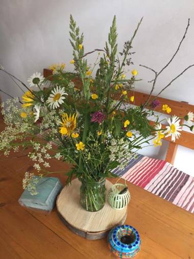 Apartment Majerčák