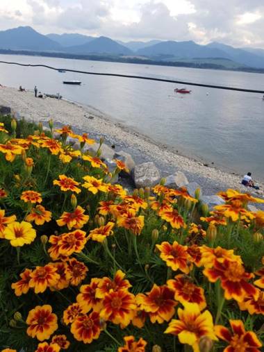 Drevenica MARKA 4 spálňový dom