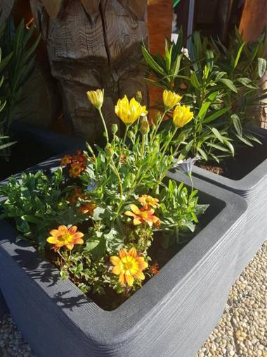 Drevenica MARKA 4 spálňový dom