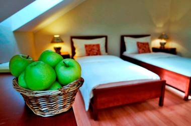 Eco Friendly Hotel Dália