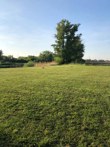 Divá Kačica Restaurant & Pansion