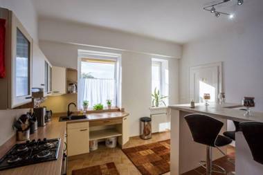 Luxury Air-conditioned Family Apartment Špitálska Old Town