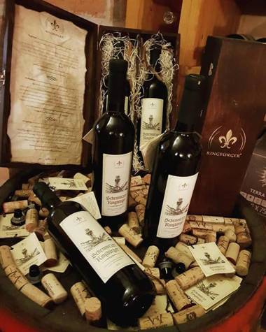 Penzion Cosmopolitan II.