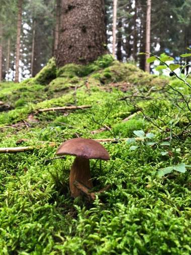 Chata Vločka - Orava Snow v lyžiarskom stredisku