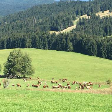 Chata Vločka - Orava Snow v lyžiarskom stredisku