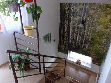 Pivnička pod Čachtickým hradom