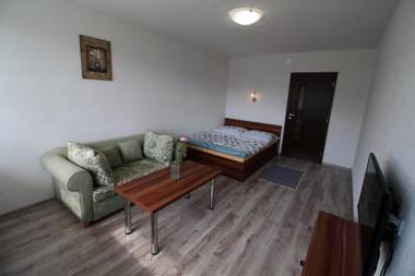 Apartment Igor