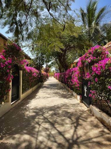 Adjana Resort - Résidence Du Port et ailleurs sur la Petite Côte