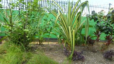 Kekemba Apartments Paramaribo