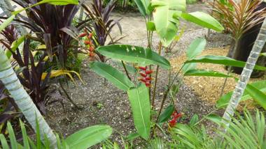 Kekemba Apartments Paramaribo