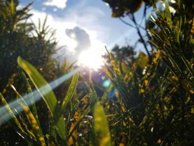 Hotel y Restaurante Las Margaritas