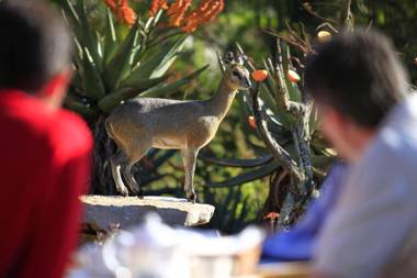 Reilly's Rock Hilltop Lodge