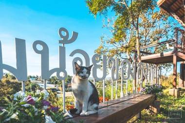 Uncle Tom's Cabin at Khaokho