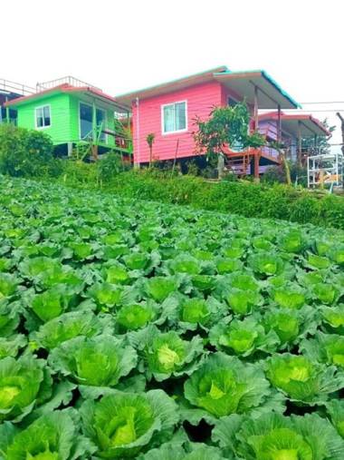 Rai Rung Arun Phutubberk