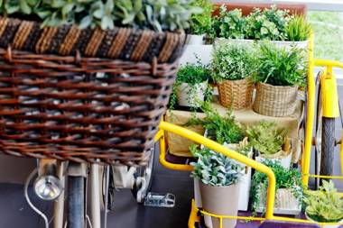 Lemontea Hotel Bangkok - SHA Extra Plus