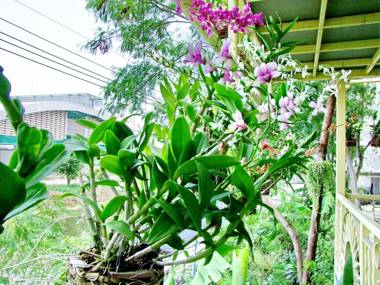 At Ease Residence Suvarnabhumi