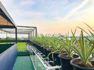 Delighted Bangkok Hotel