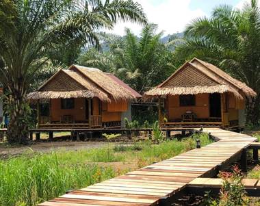 Khao Sok Blue Mountain