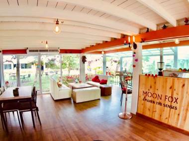 Moonfox cafeInn & Art Gallery
