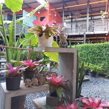 Kipbox hotel trang